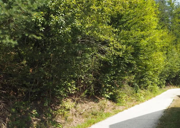 Haus Sonnenschein דירה קלגנפורט